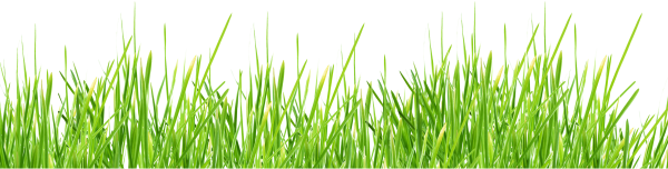 Grass Free PNG Image Download 16