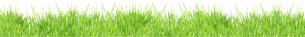 Grass Free PNG Image Download 18