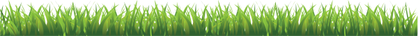 Grass Free PNG Image Download 2