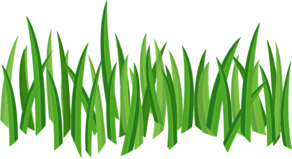 Grass Free PNG Image Download 21