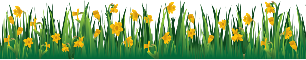 Grass Free PNG Image Download 22