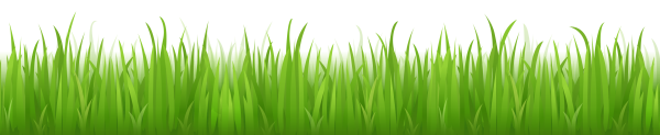 Grass Free PNG Image Download 23