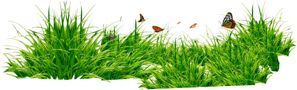 Grass Free PNG Image Download 28