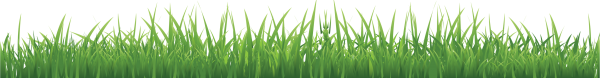 Grass Free PNG Image Download 3