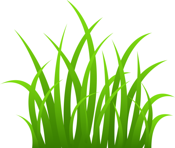 Grass Free PNG Image Download 37