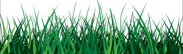 Grass Free PNG Image Download 38