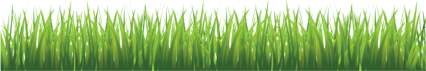 Grass Free PNG Image Download 4