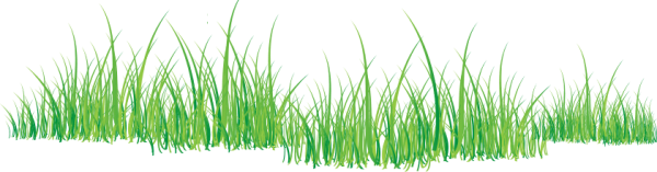 Grass Free PNG Image Download 40
