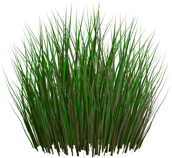 Grass Free PNG Image Download 42