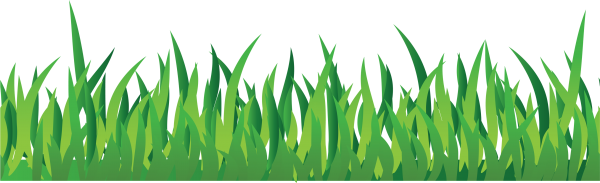 Grass Free PNG Image Download 5