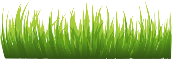 Grass Free PNG Image Download 6