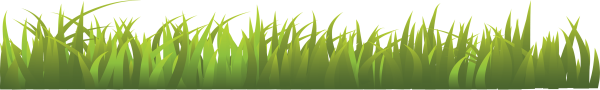 Grass Free PNG Image Download 7