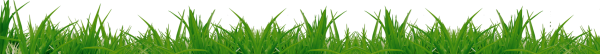 Grass Free PNG Image Download 9