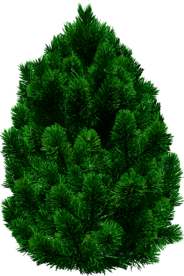 Green Christmas Tree Png