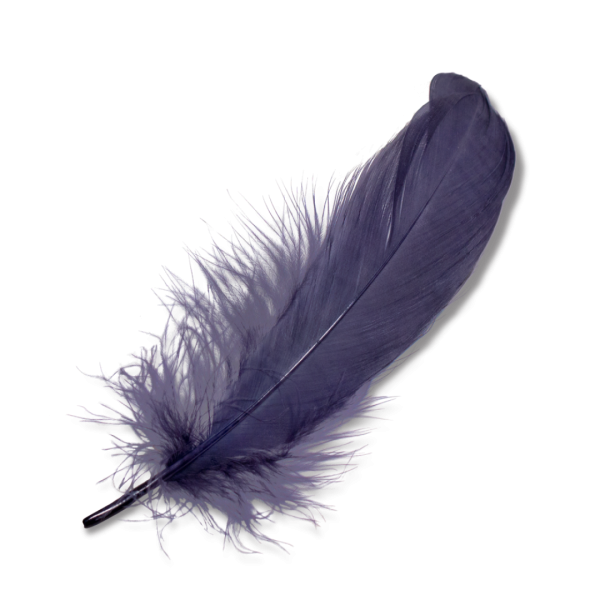 Grey Feather PNG Image Download