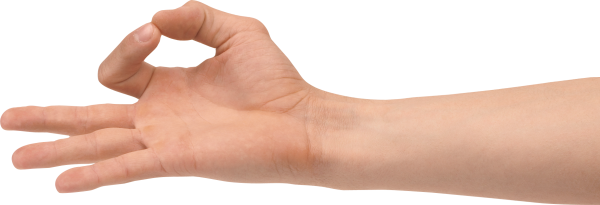 Hands PNG Free Image Download 101