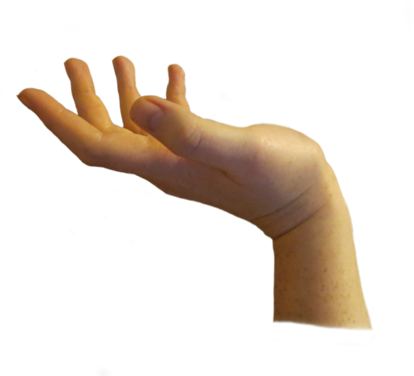 Hands PNG Free Image Download 16