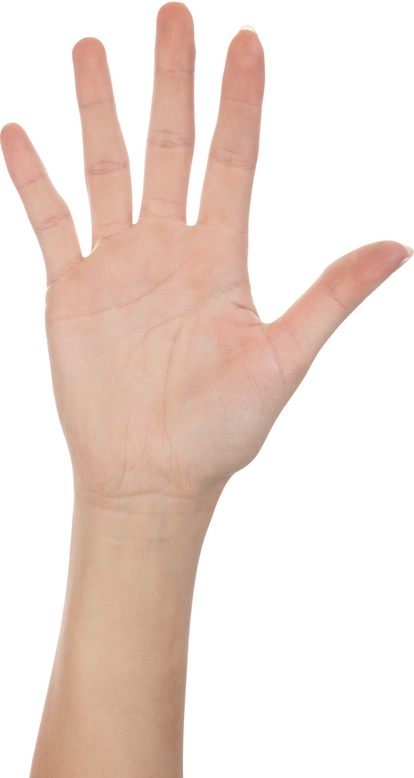 Hands PNG Free Image Download 17