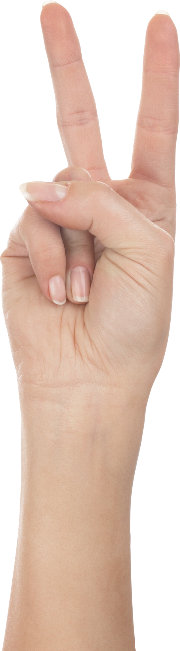 Hands PNG Free Image Download 18