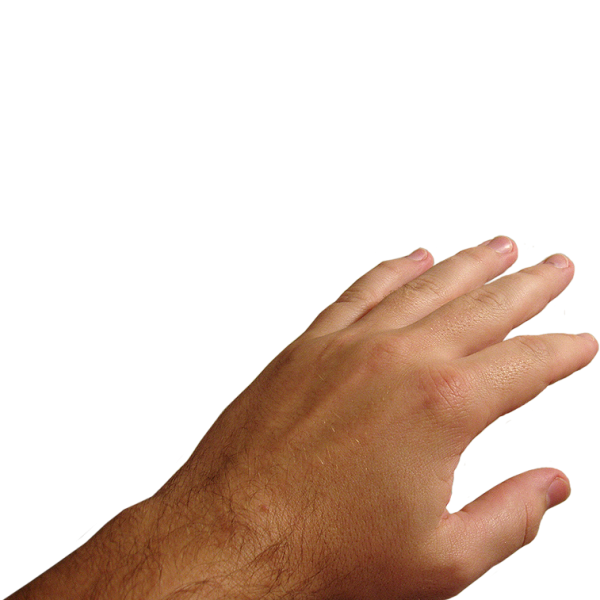Hands PNG Free Image Download 26