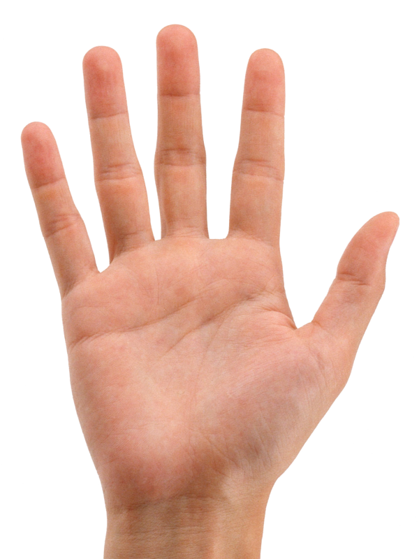 Hands PNG Free Image Download 52