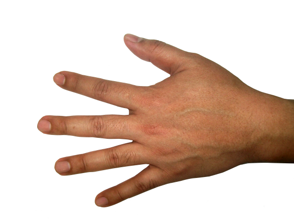 Hands PNG Free Image Download 54