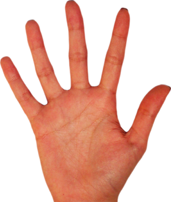 Hands PNG Free Image Download 62