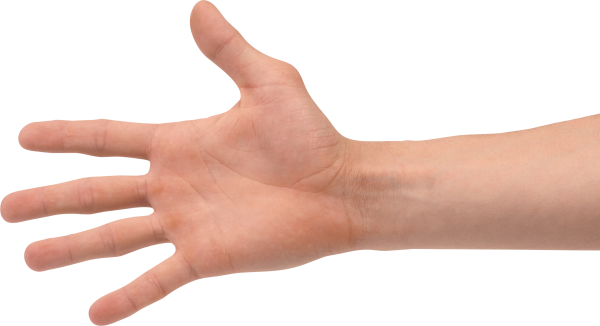 Hands PNG Free Image Download 76