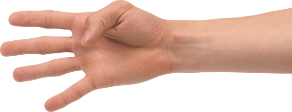 Hands PNG Free Image Download 77