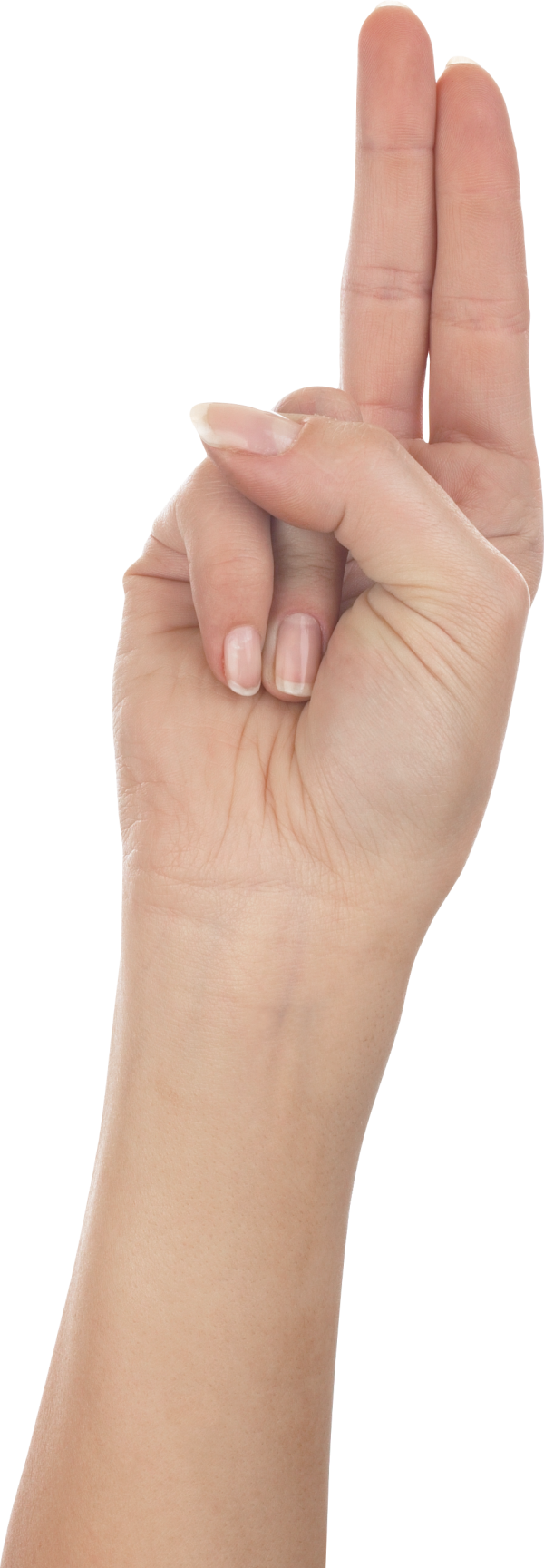 Hands PNG Free Image Download 98