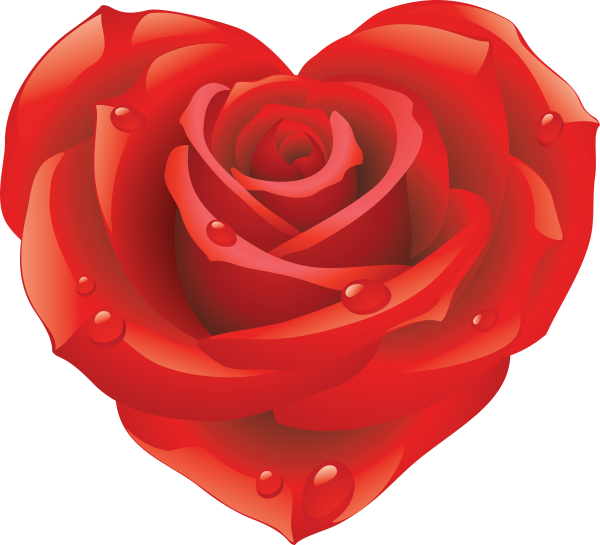 heart shaped red rose clipart free png download
