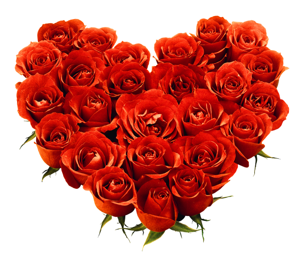 heart shapped red rose with leaves free png download
