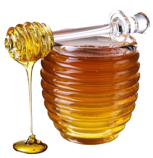 Honey PNG Free Image Download 12
