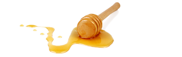 Honey Png Free Image Download 19 Png Images Download Honey Png Free Image Download 19 Pictures Download Honey Png Free Image Download 19 Png Vector Stock Images Free Png Download