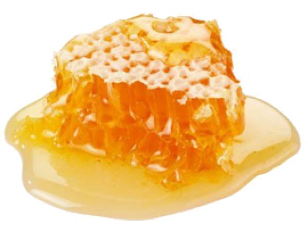 Honey PNG Free Image Download 24