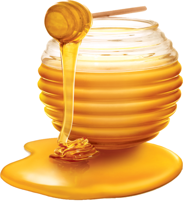 Honey PNG Free Image Download 26