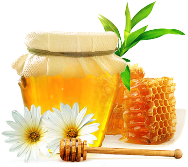 Honey PNG Free Image Download 29