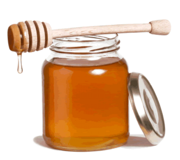 Honey PNG Free Image Download 32