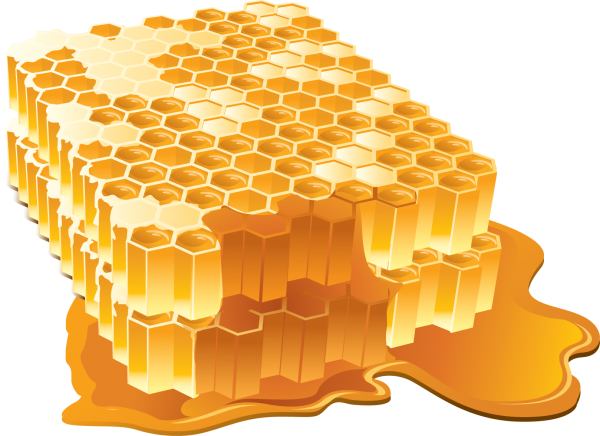 Honey PNG Free Image Download 4