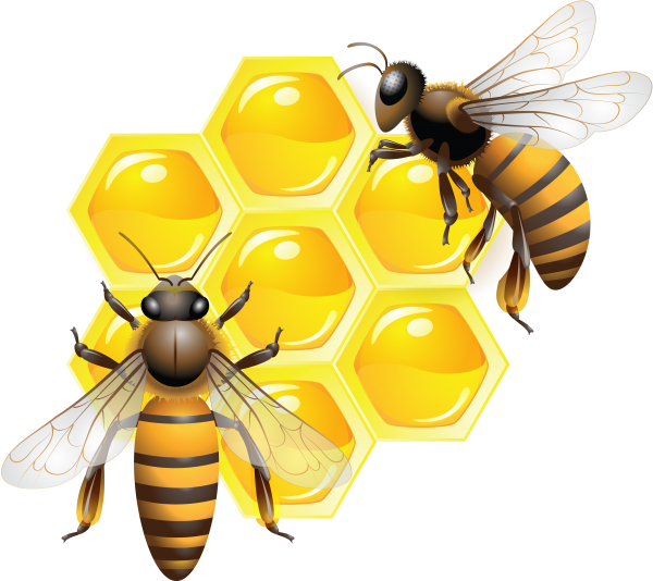 Honey PNG Free Image Download 6
