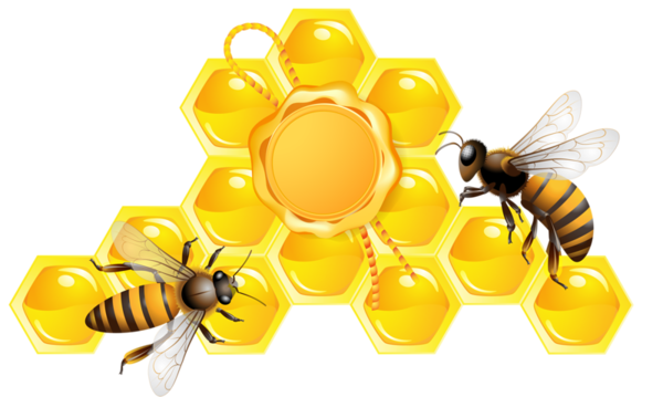 Honey PNG Free Image Download 8