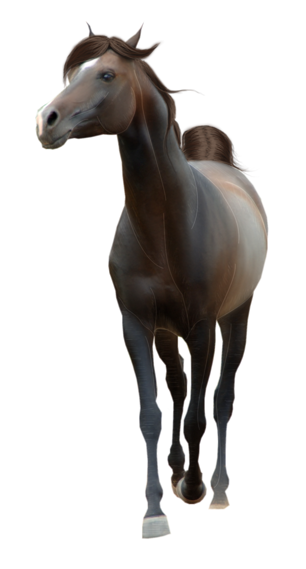 Horse PNG Free Image Download 29