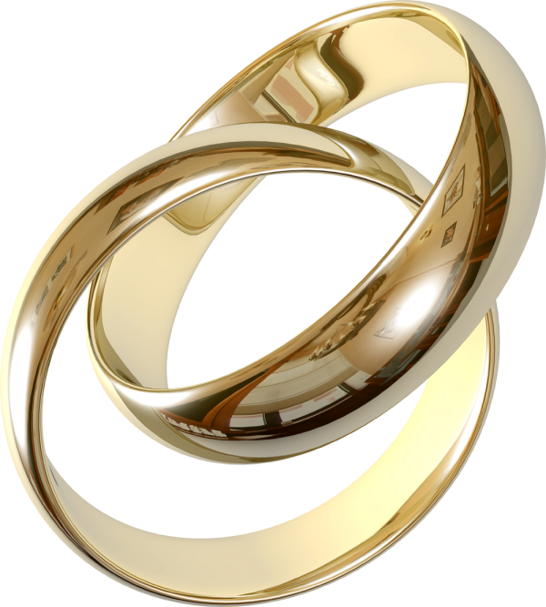 Jewelry PNG Free Download 99