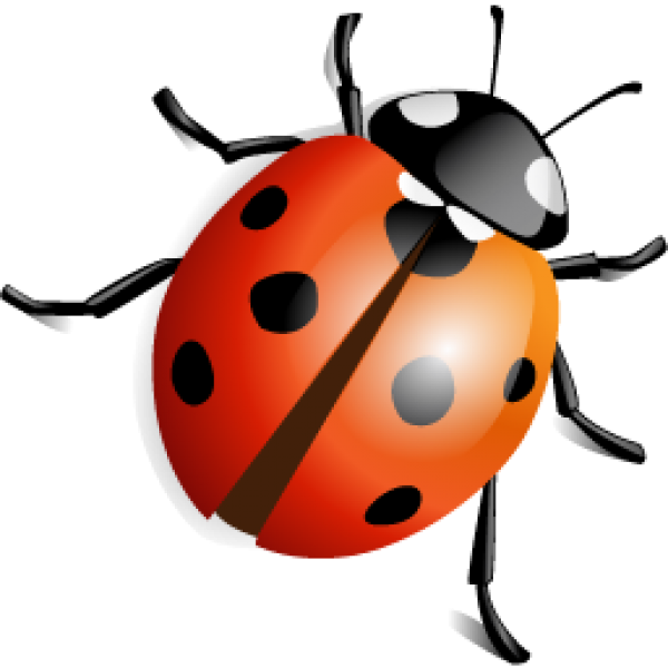 Lady bug PNG Free Download 12