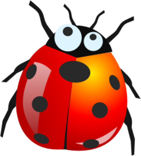 Lady bug PNG Free Download 8