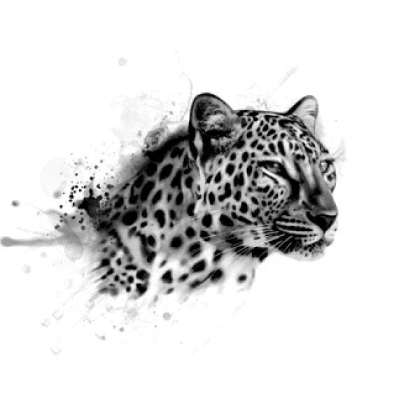leopard PNG Free Download 28