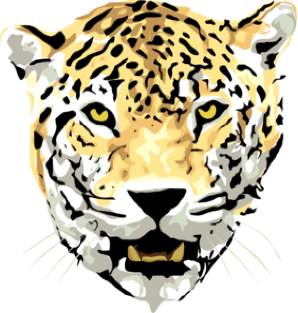 leopard PNG Free Download 29
