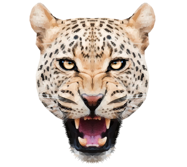 leopard PNG Free Download 32