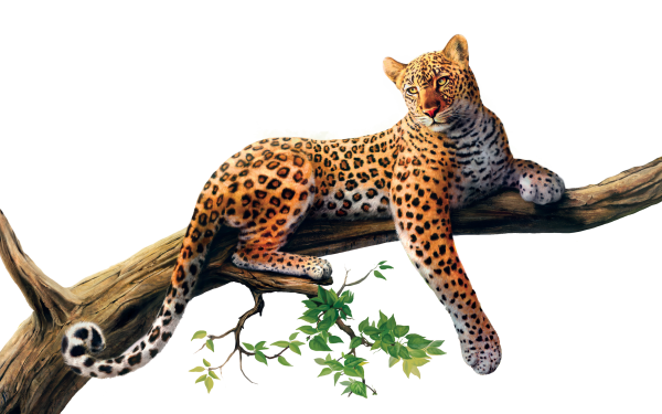 leopard PNG Free Download 7