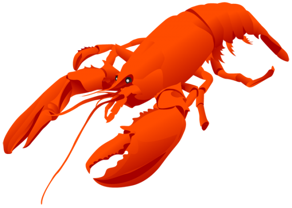 Lobster PNG Free Download 20